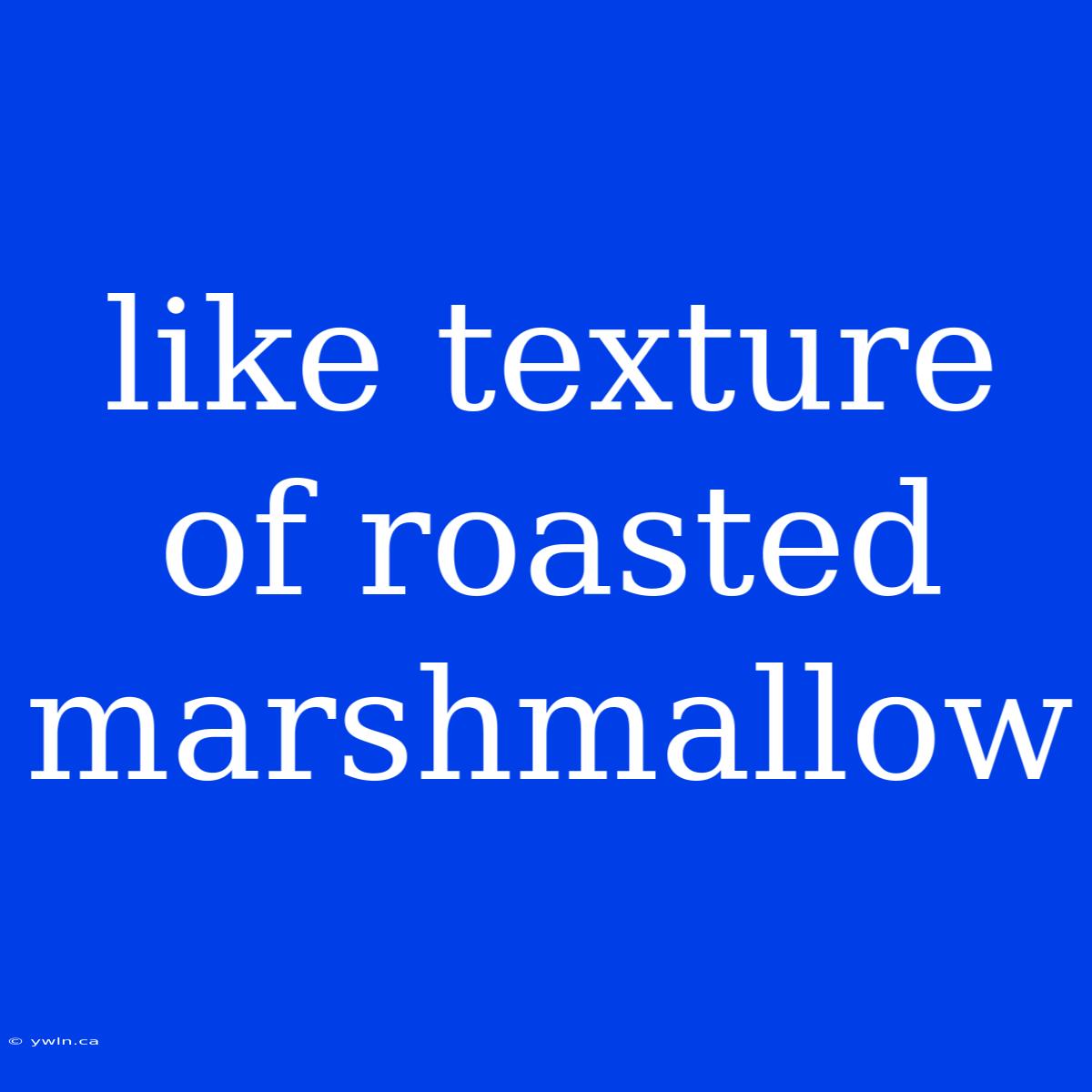 Like Texture Of Roasted Marshmallow