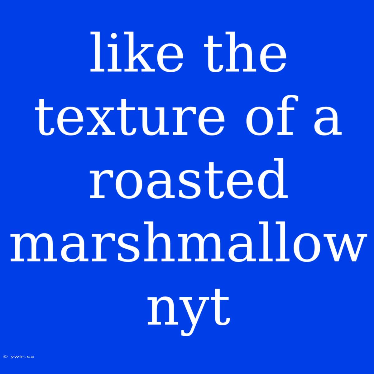 Like The Texture Of A Roasted Marshmallow Nyt