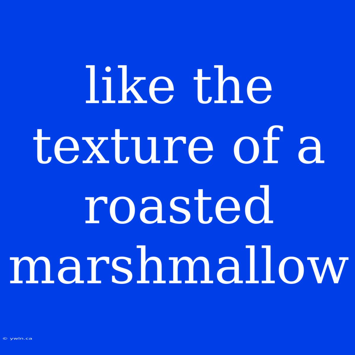 Like The Texture Of A Roasted Marshmallow