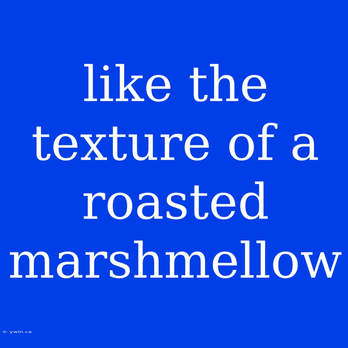 Like The Texture Of A Roasted Marshmellow