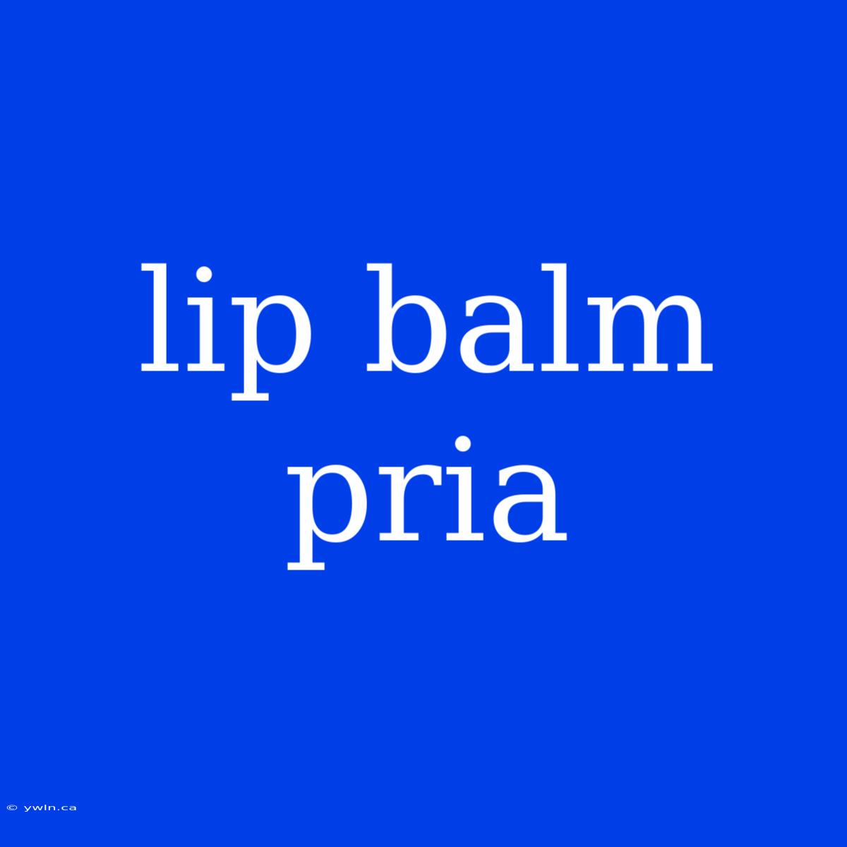 Lip Balm Pria