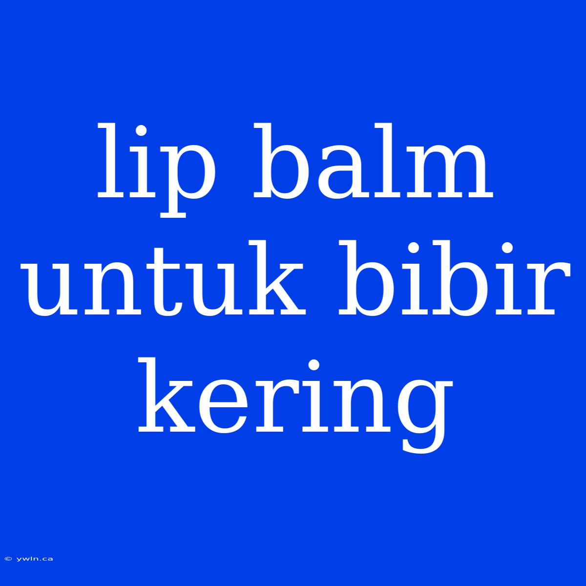 Lip Balm Untuk Bibir Kering