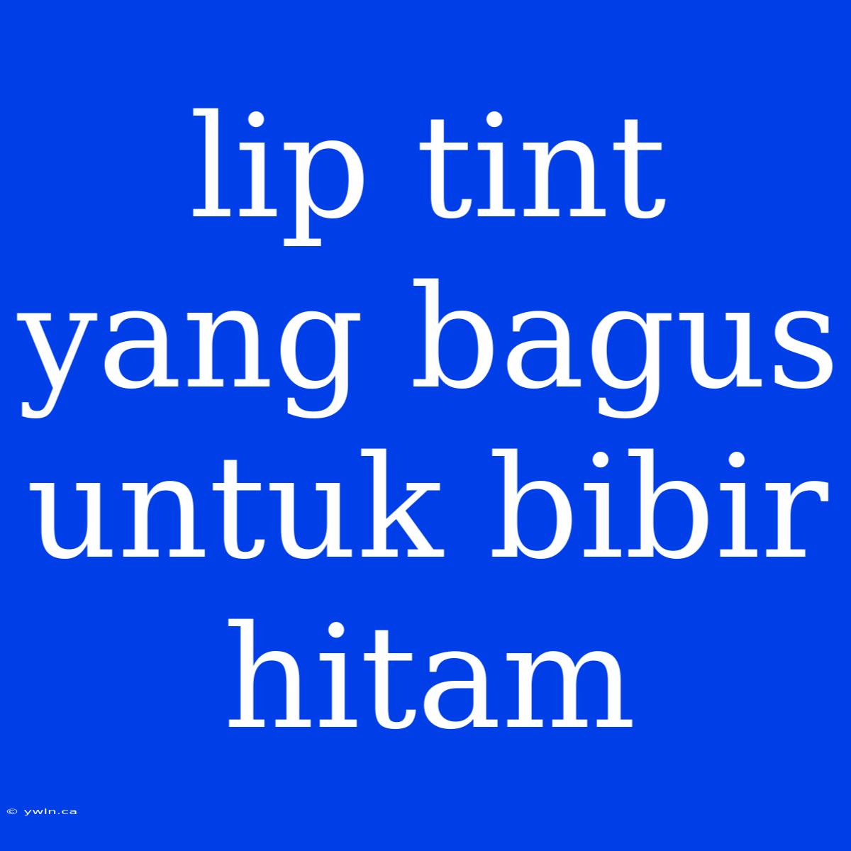 Lip Tint Yang Bagus Untuk Bibir Hitam