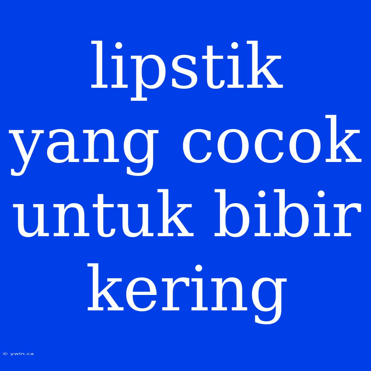 Lipstik Yang Cocok Untuk Bibir Kering