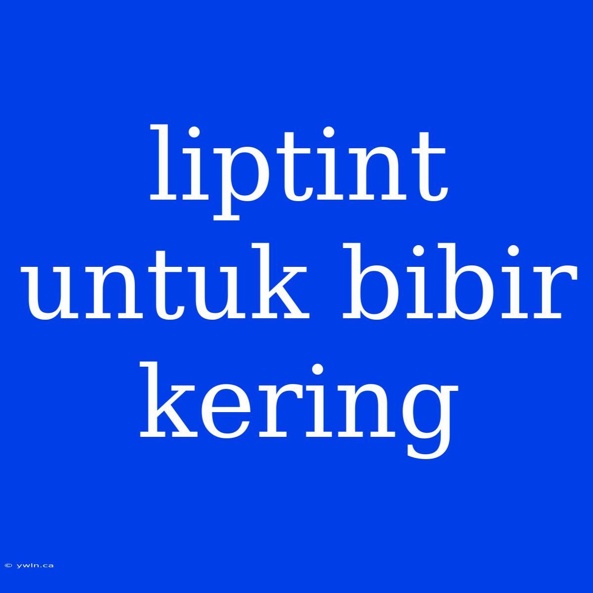 Liptint Untuk Bibir Kering