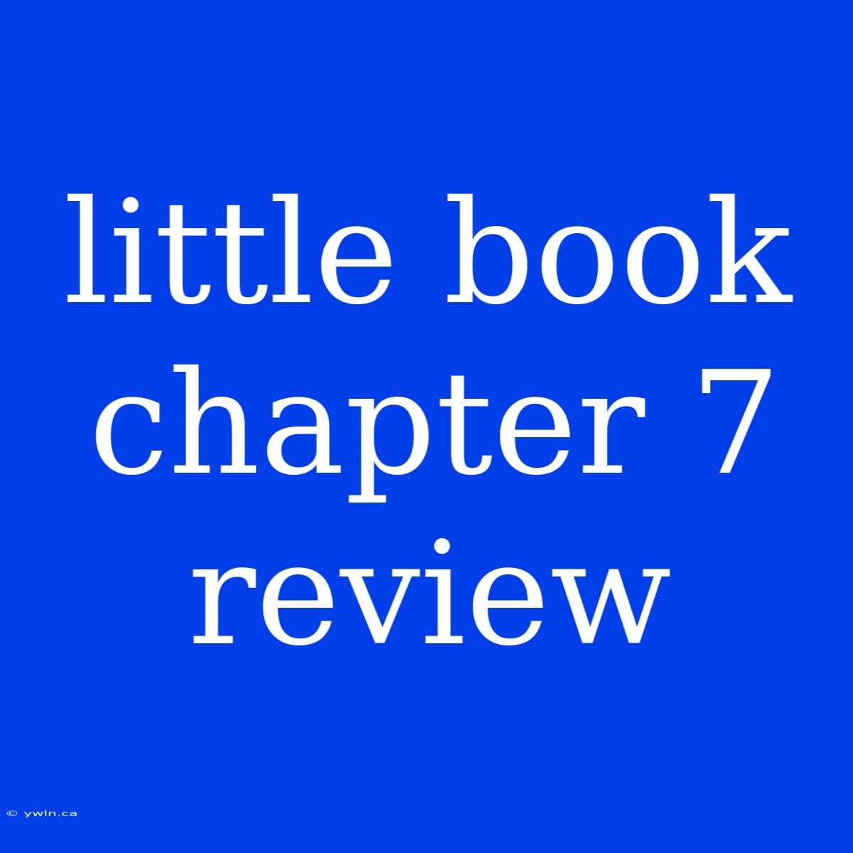 Little Book Chapter 7 Review