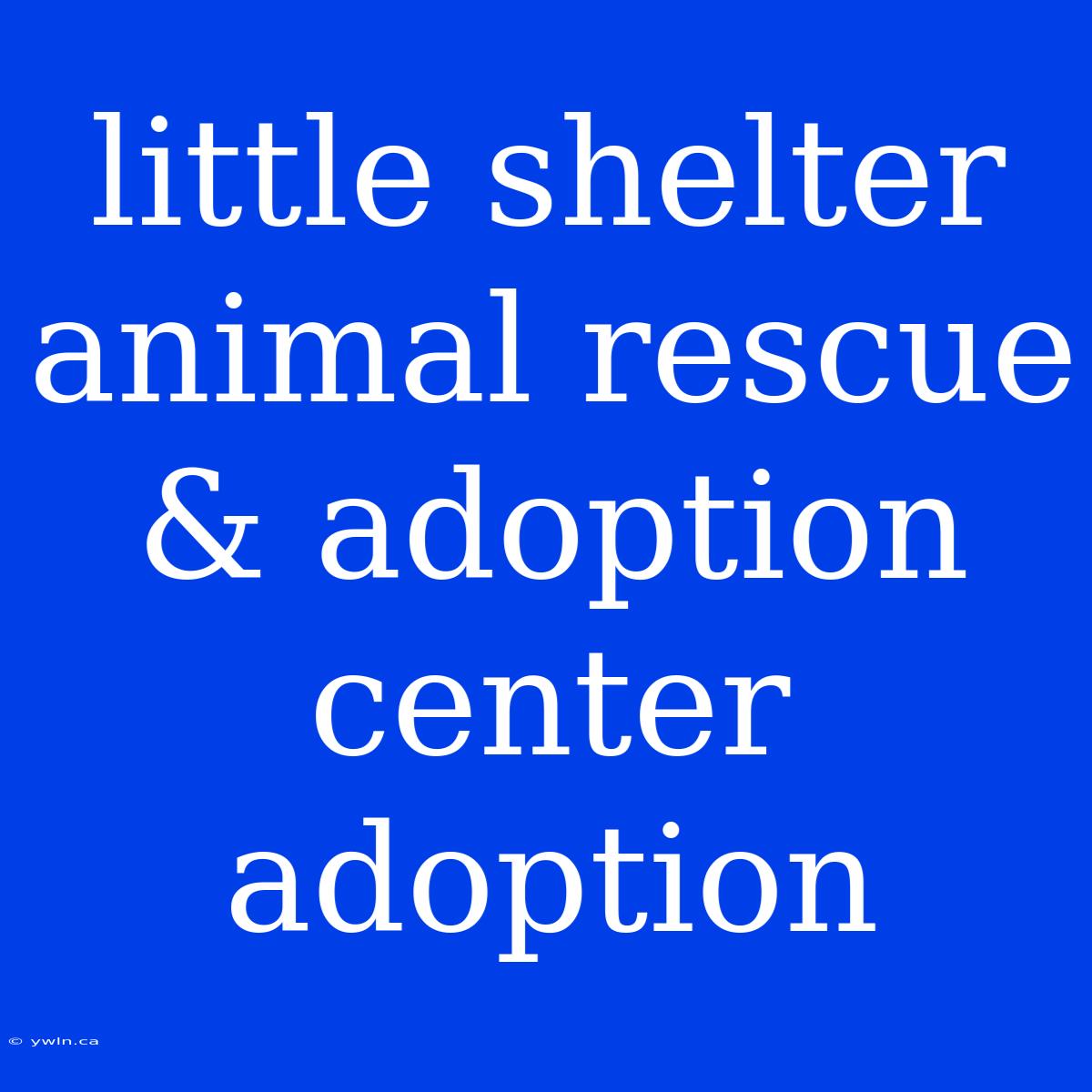 Little Shelter Animal Rescue & Adoption Center Adoption