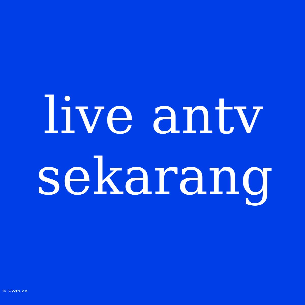 Live Antv Sekarang