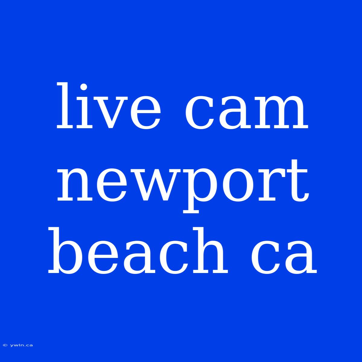 Live Cam Newport Beach Ca