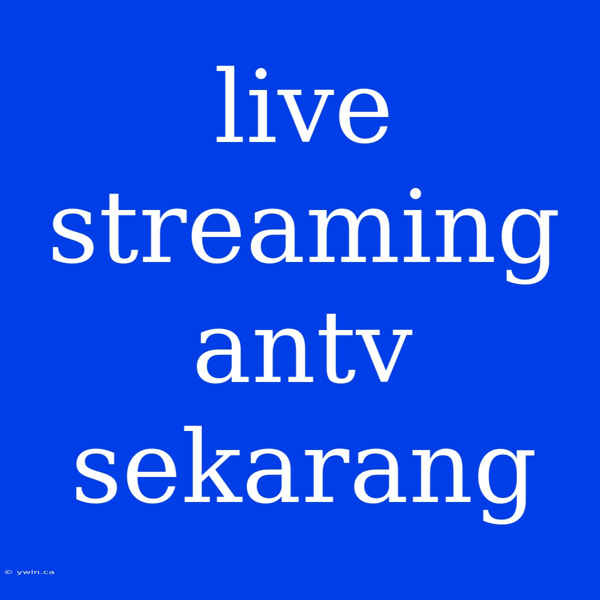 Live Streaming Antv Sekarang