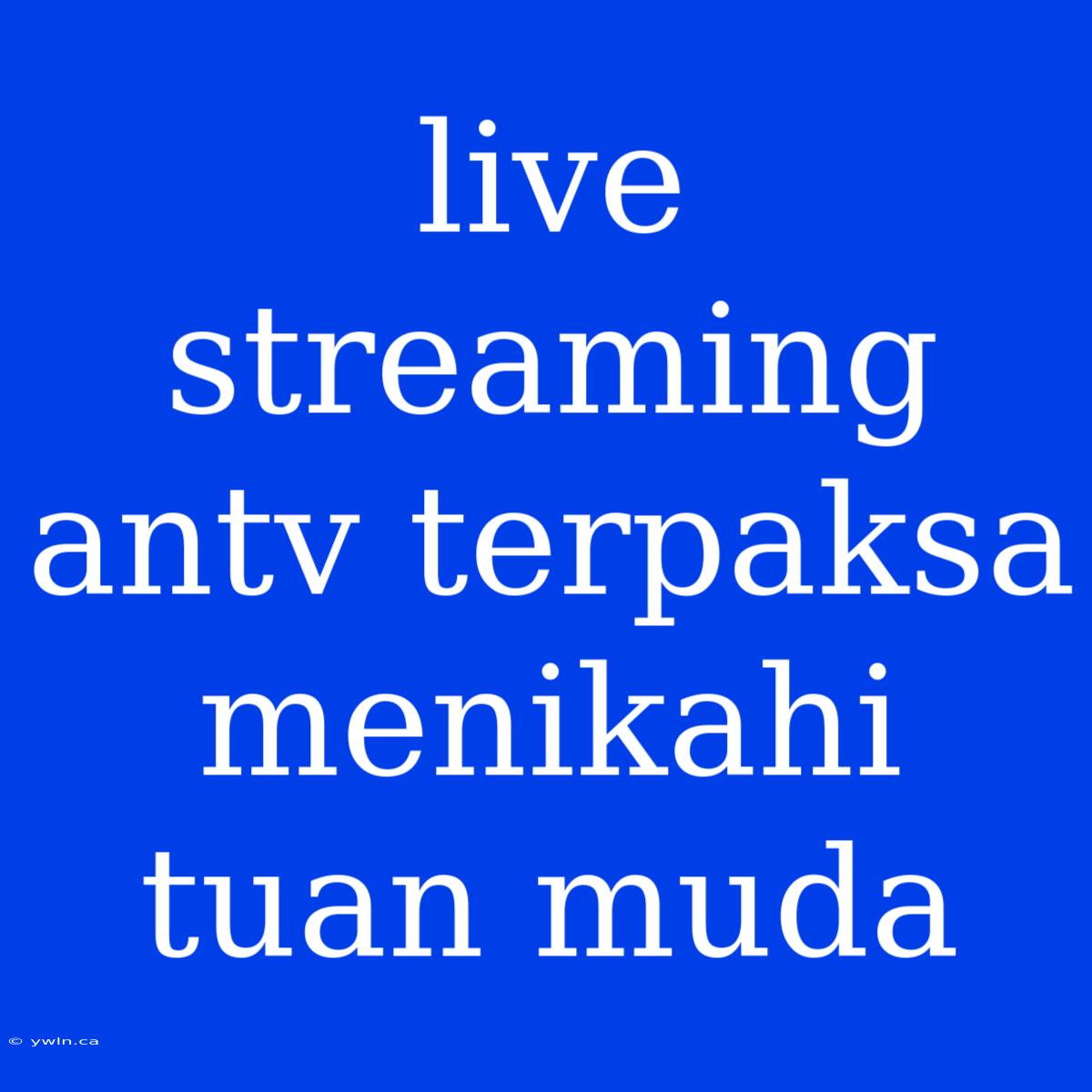 Live Streaming Antv Terpaksa Menikahi Tuan Muda