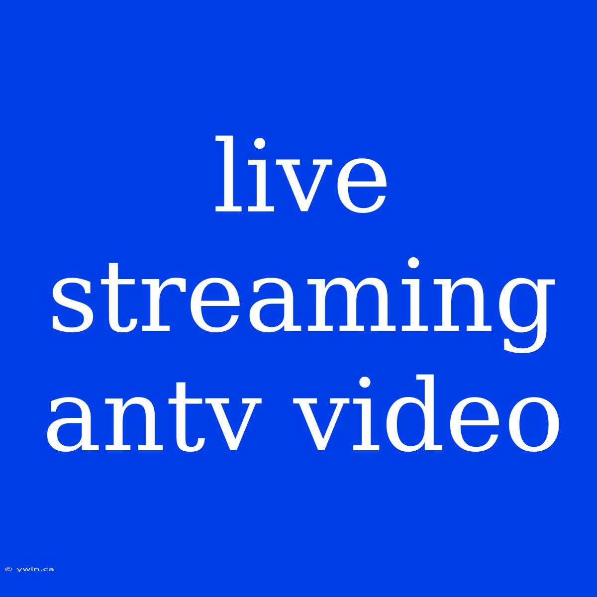 Live Streaming Antv Video