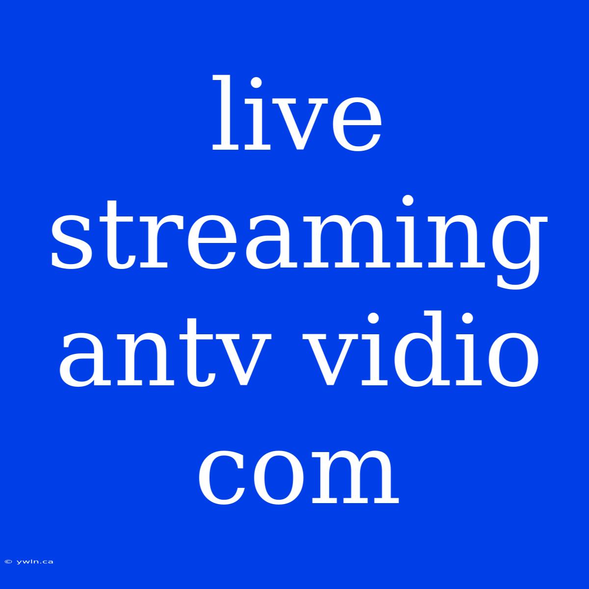 Live Streaming Antv Vidio Com