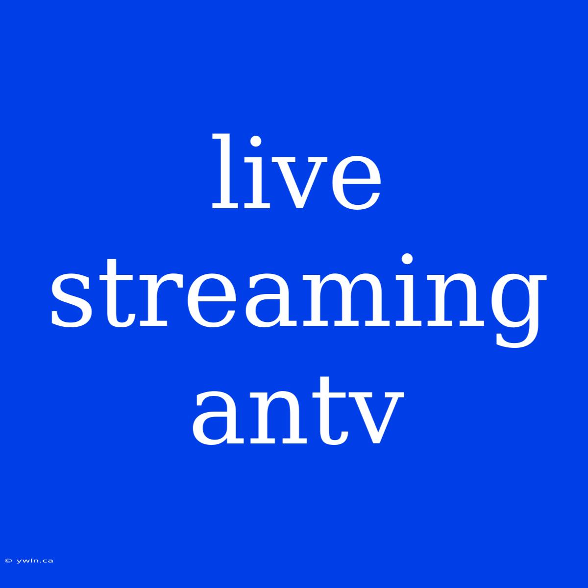 Live Streaming Antv