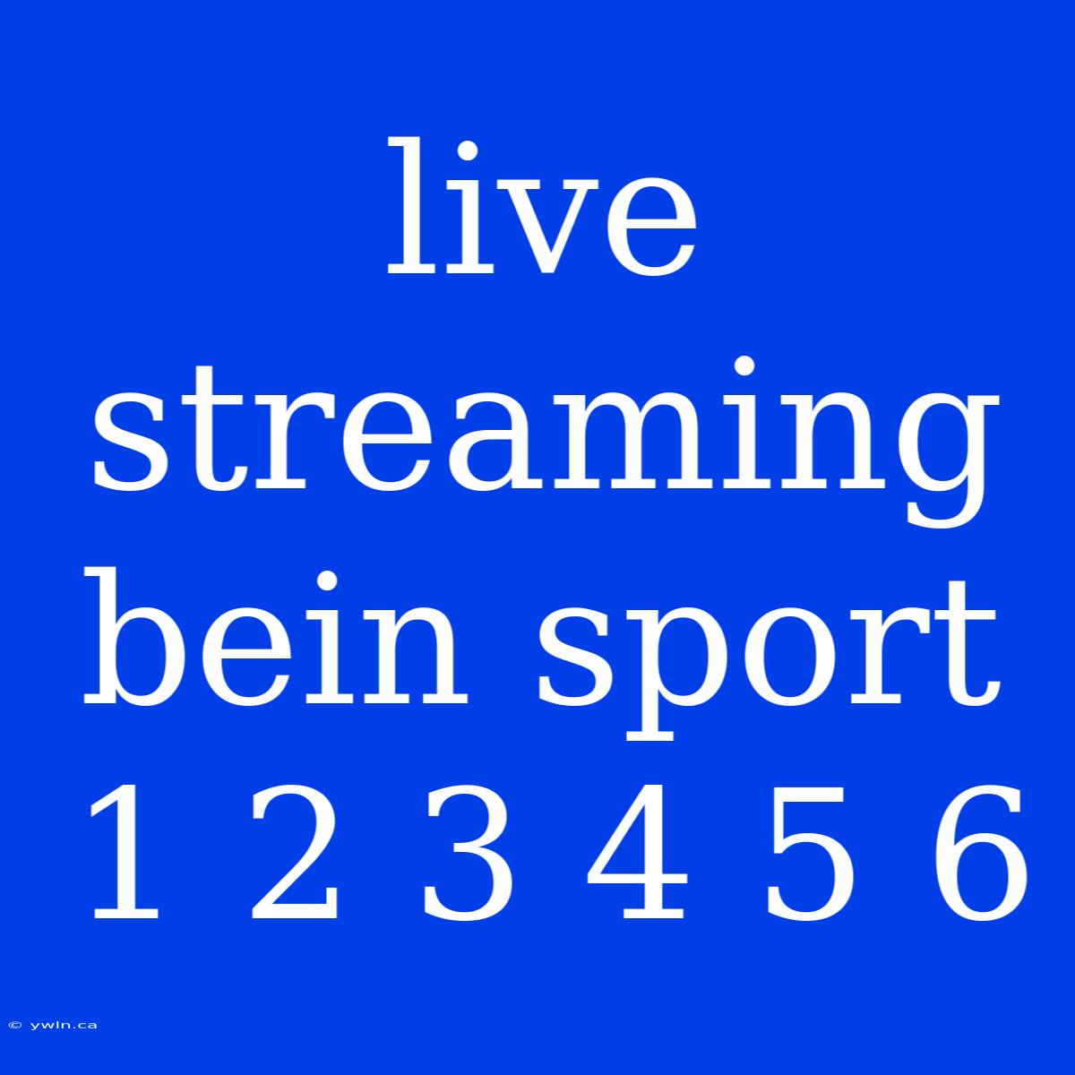 Live Streaming Bein Sport 1 2 3 4 5 6