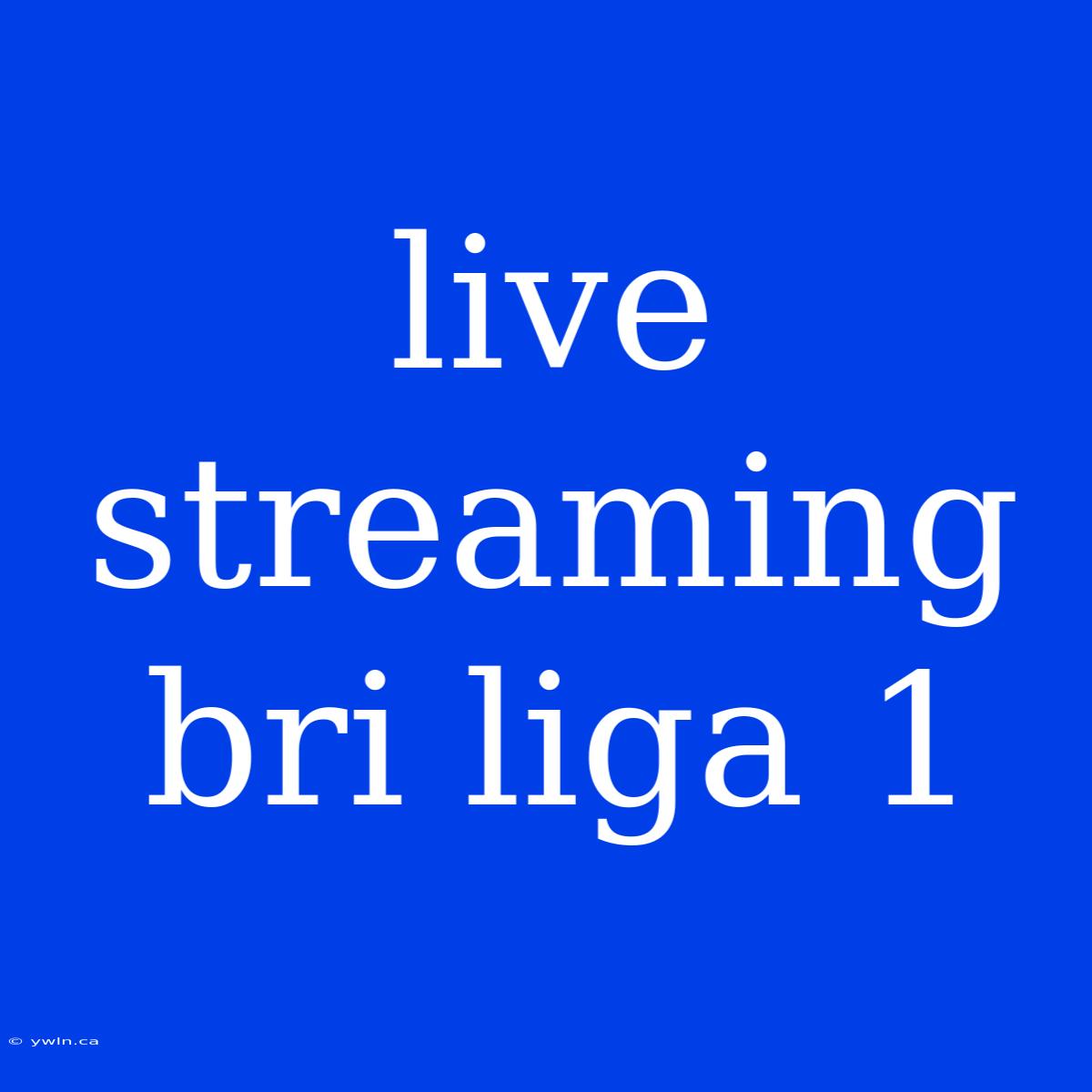 Live Streaming Bri Liga 1