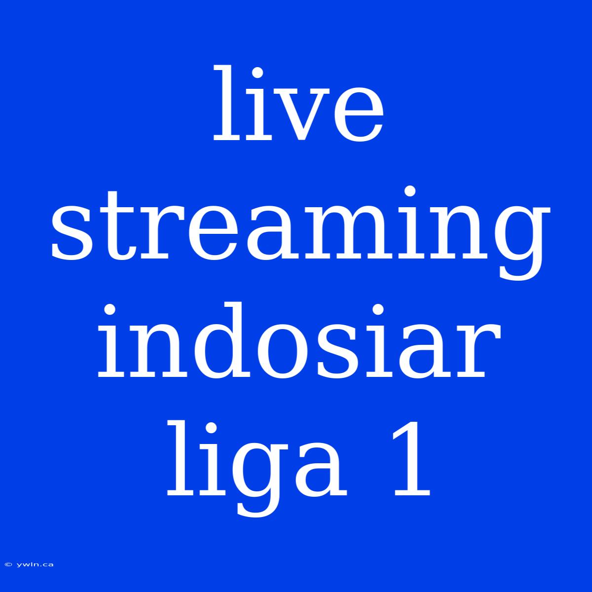 Live Streaming Indosiar Liga 1