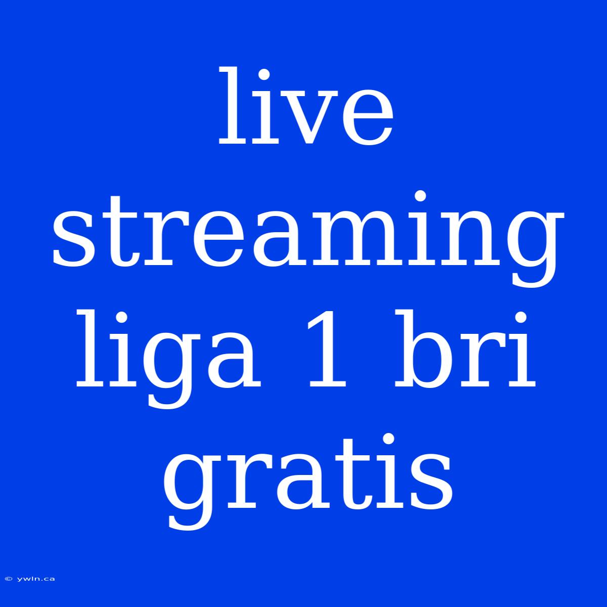 Live Streaming Liga 1 Bri Gratis