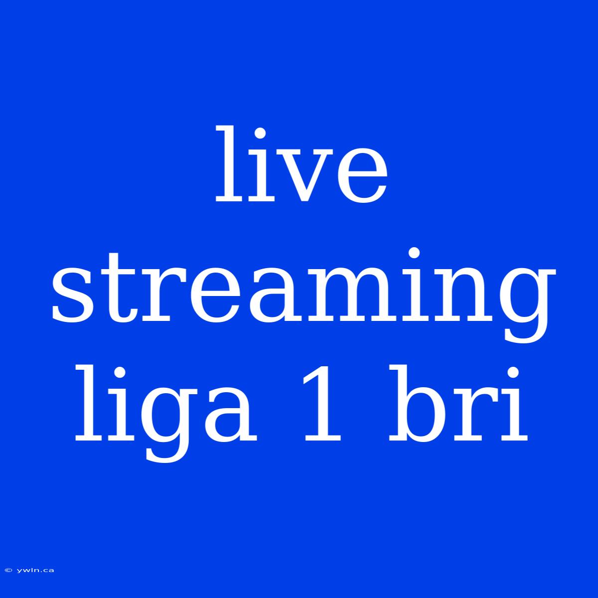 Live Streaming Liga 1 Bri