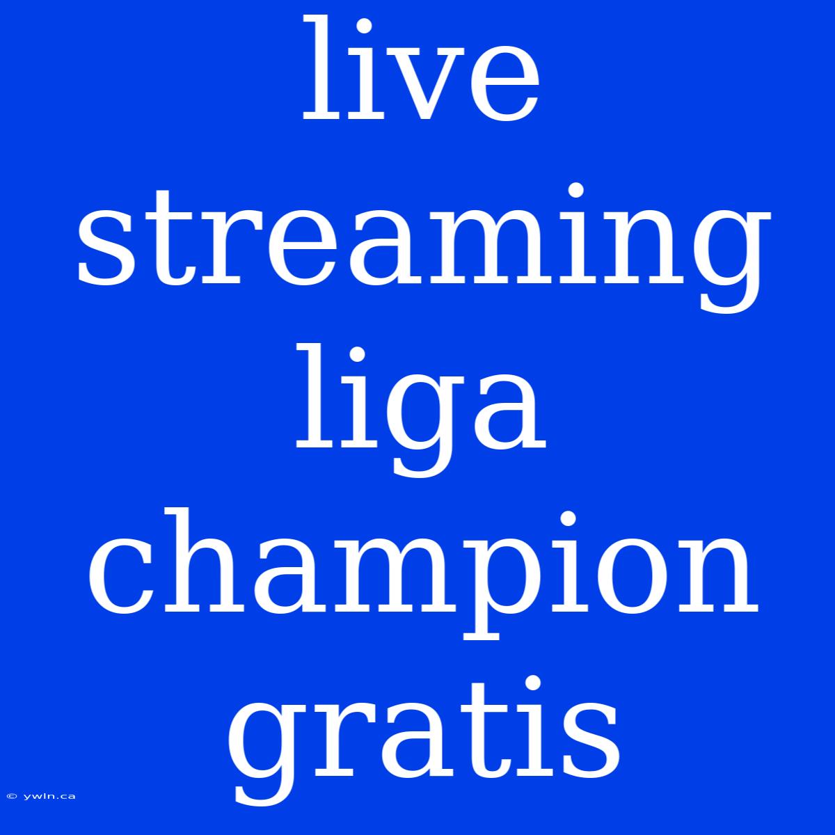 Live Streaming Liga Champion Gratis