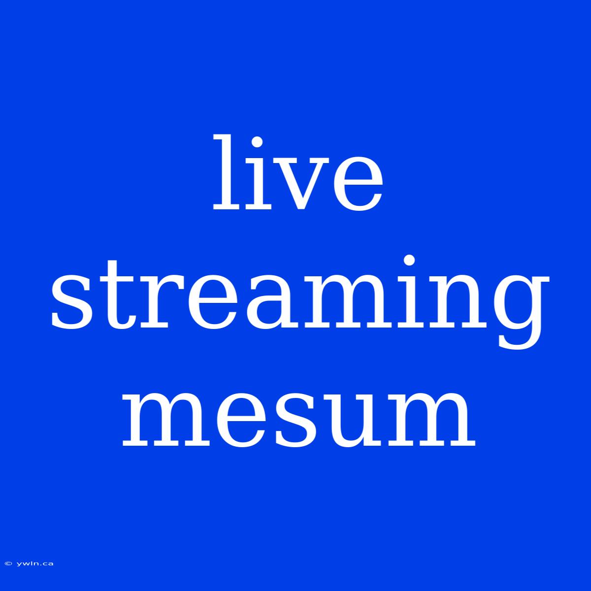 Live Streaming Mesum