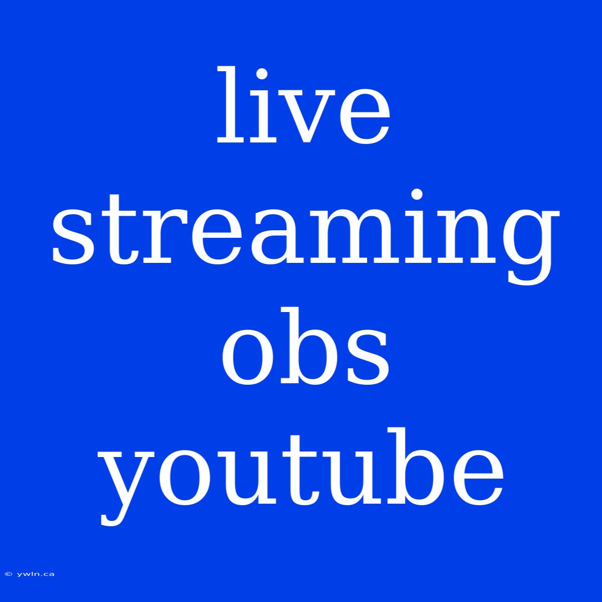 Live Streaming Obs Youtube