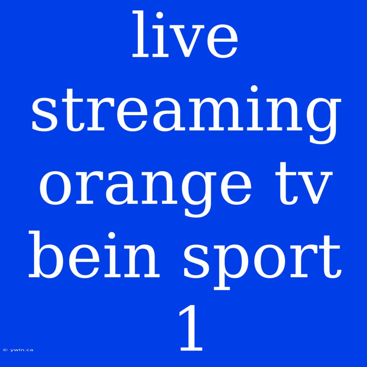 Live Streaming Orange Tv Bein Sport 1