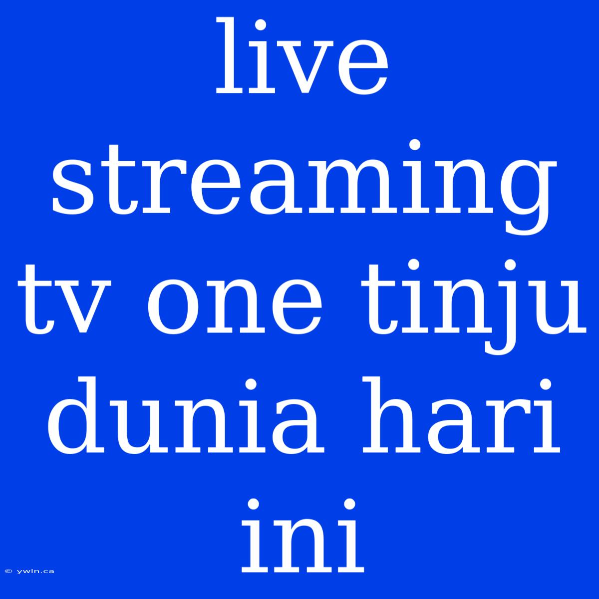 Live Streaming Tv One Tinju Dunia Hari Ini