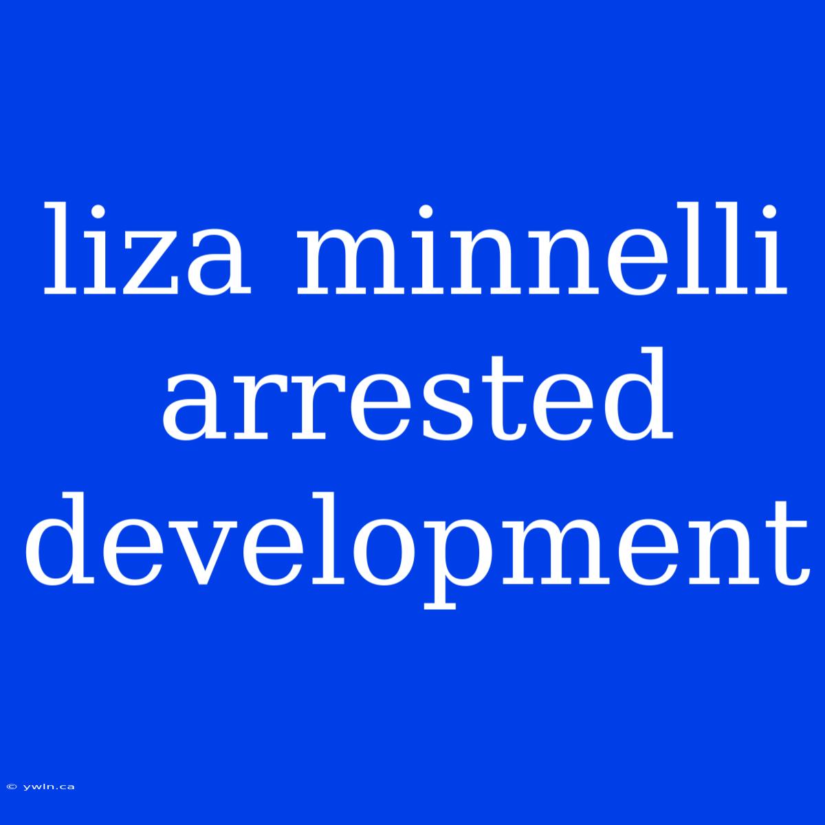 Liza Minnelli Arrested Development