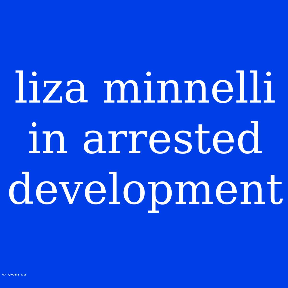 Liza Minnelli In Arrested Development