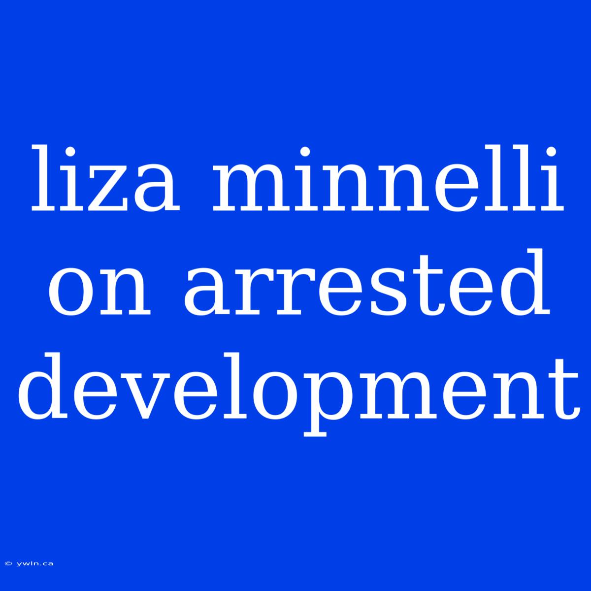 Liza Minnelli On Arrested Development