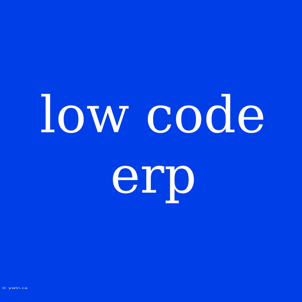 Low Code Erp