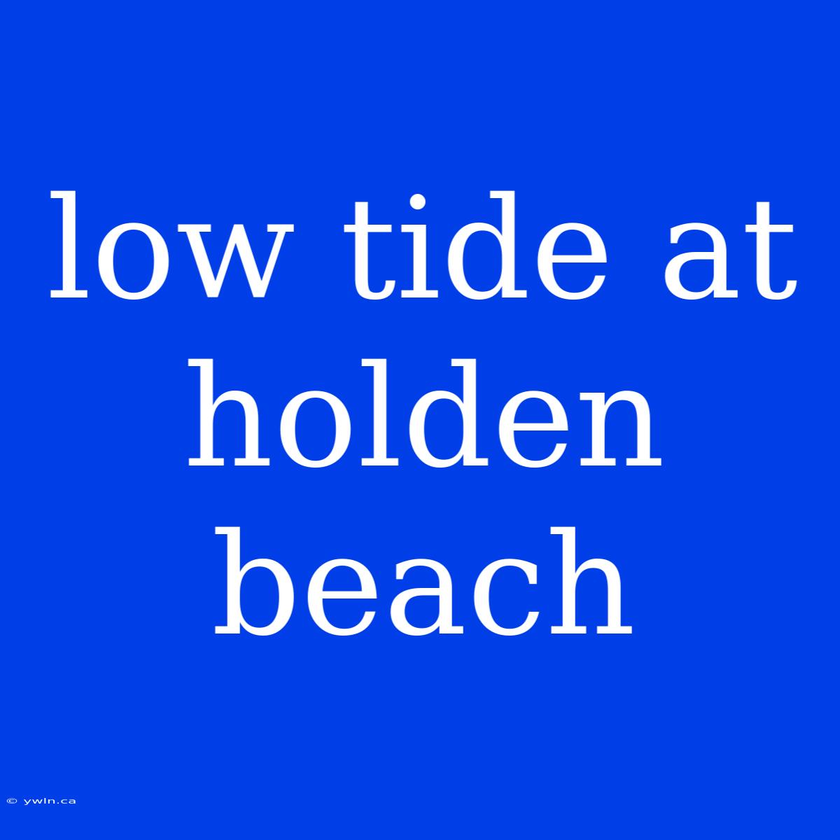 Low Tide At Holden Beach