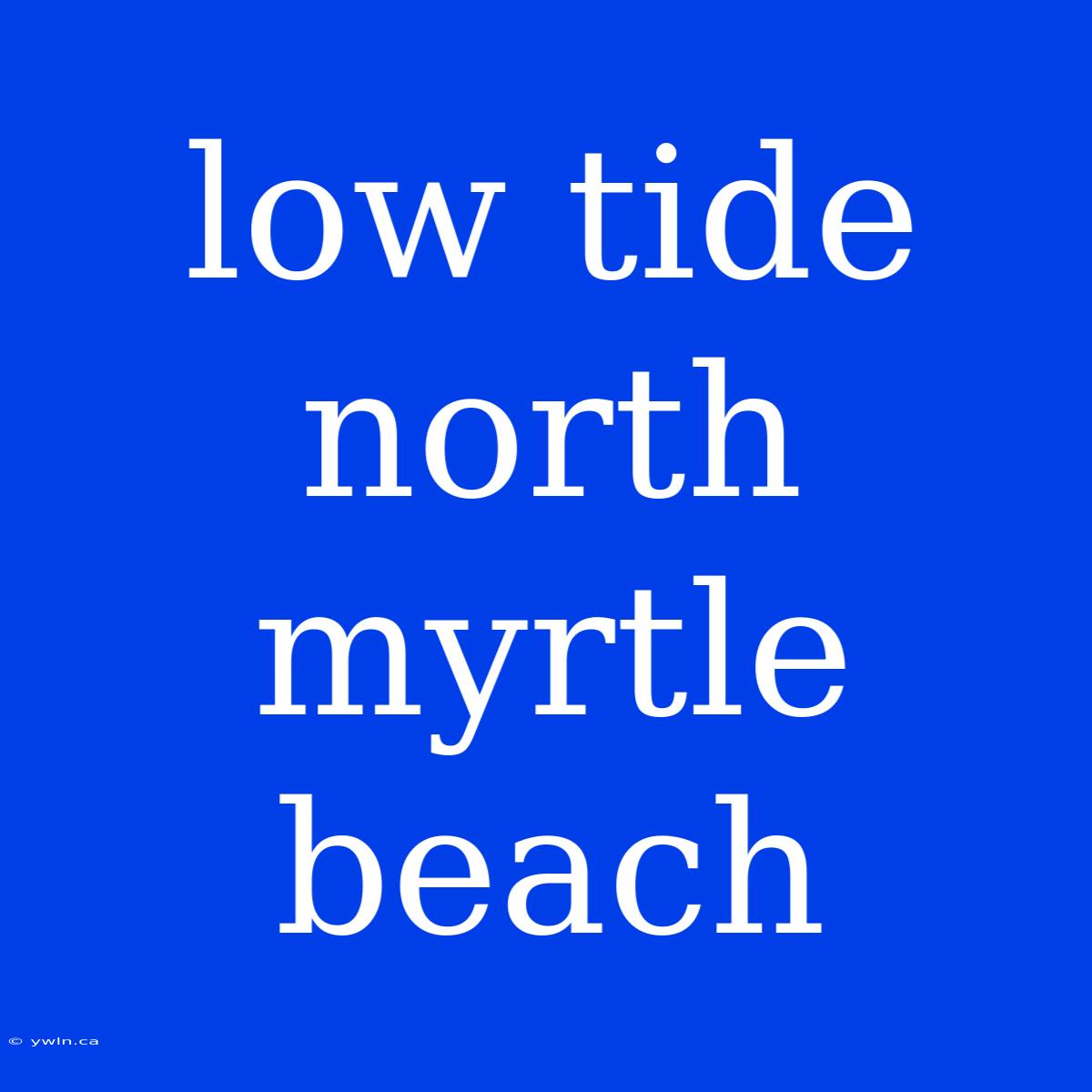 Low Tide North Myrtle Beach