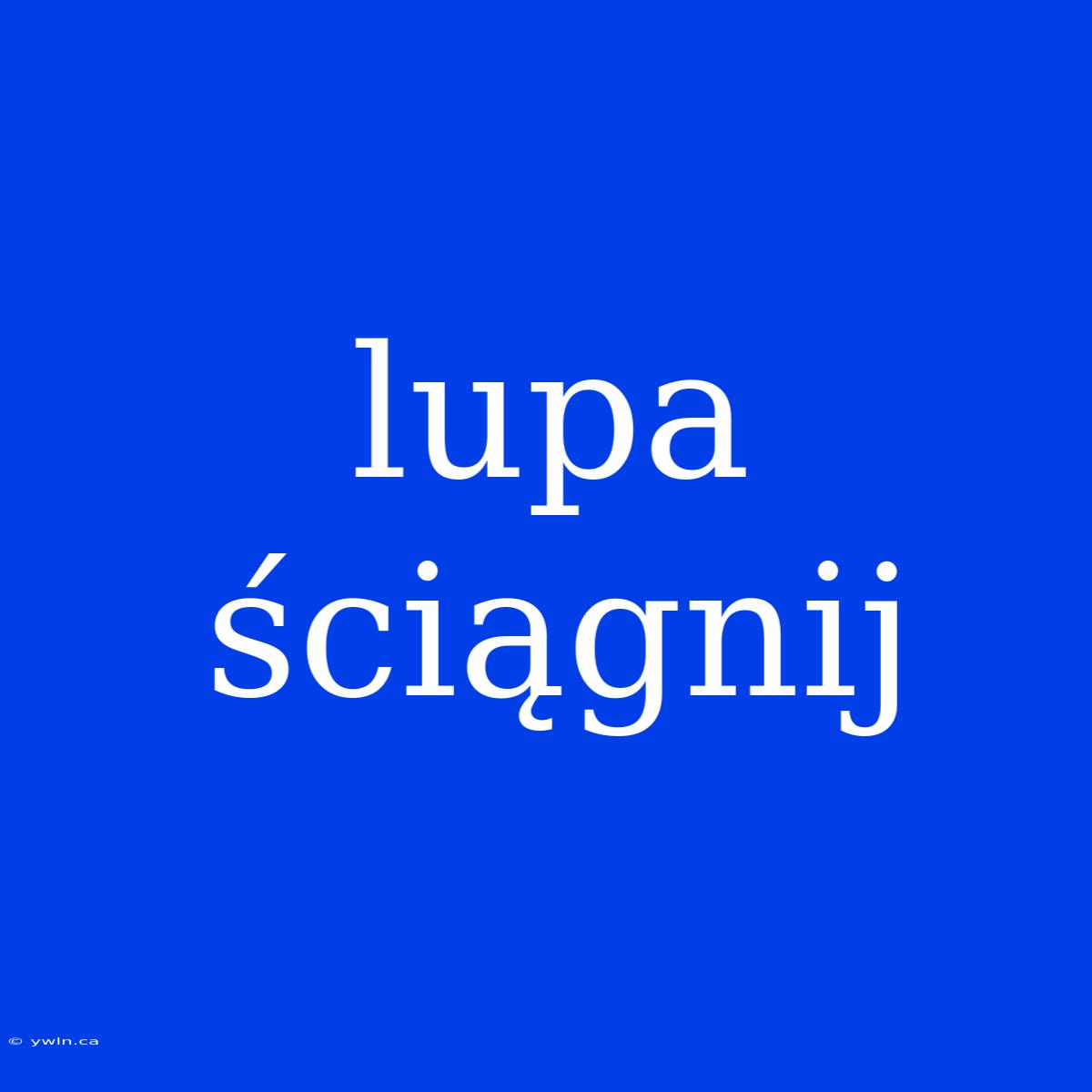 Lupa Ściągnij