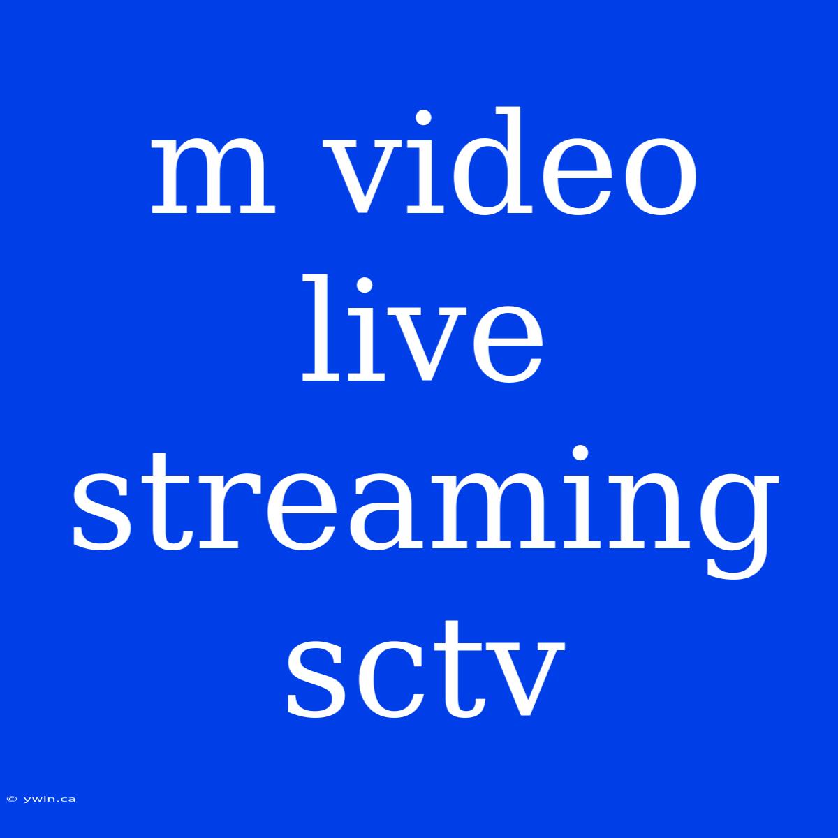 M Video Live Streaming Sctv