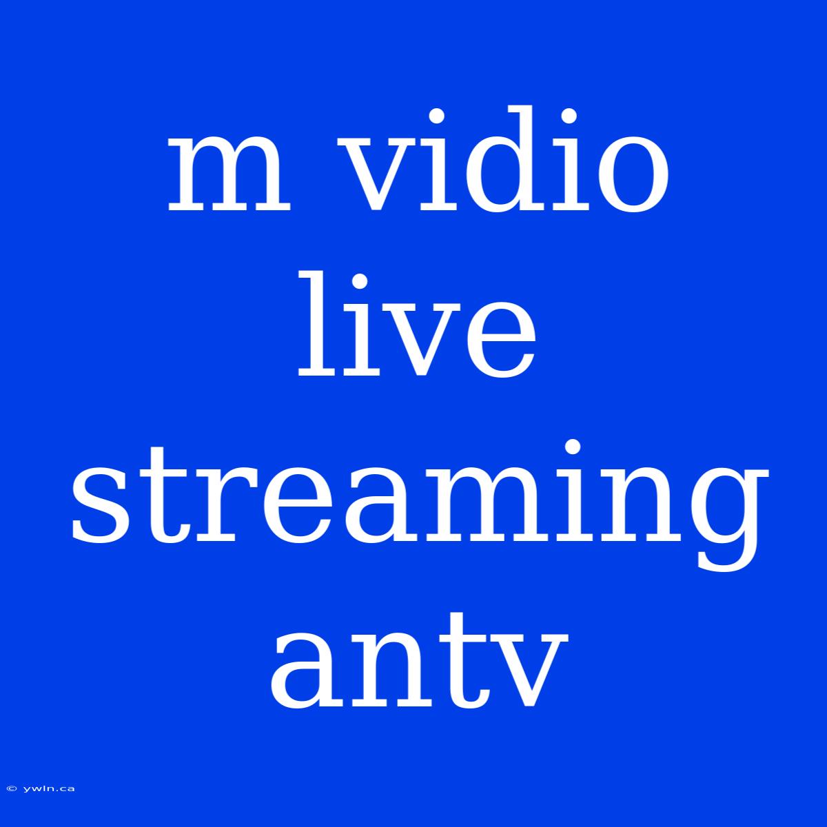 M Vidio Live Streaming Antv