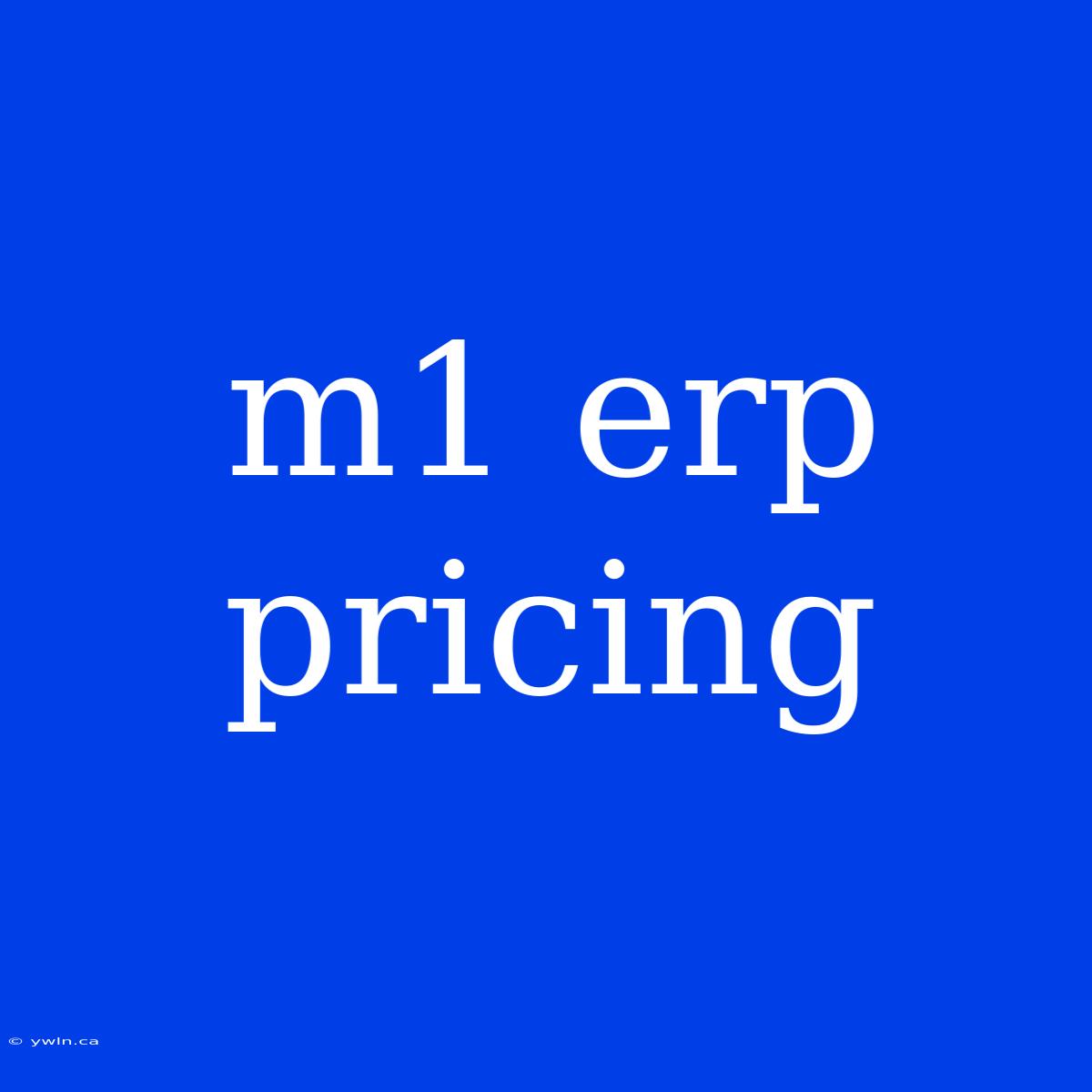 M1 Erp Pricing