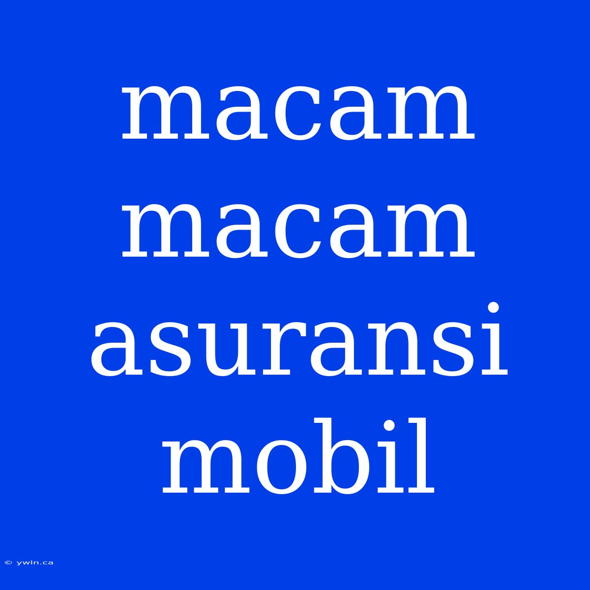 Macam Macam Asuransi Mobil