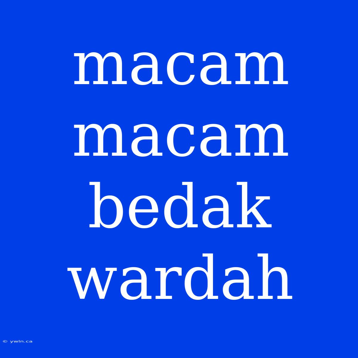 Macam Macam Bedak Wardah