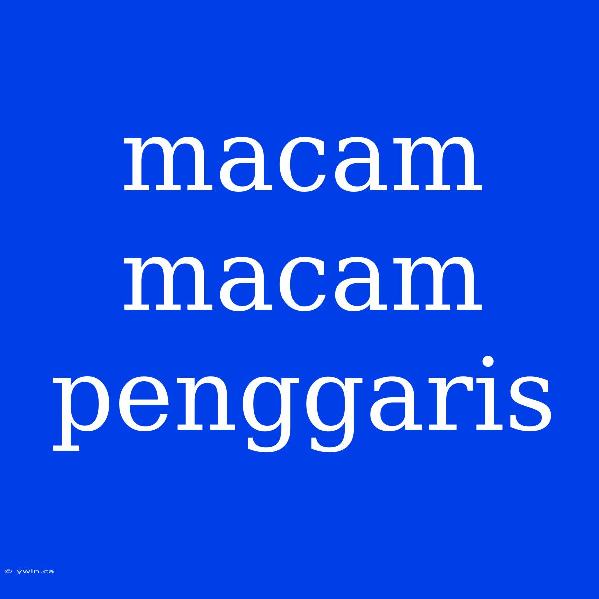 Macam Macam Penggaris