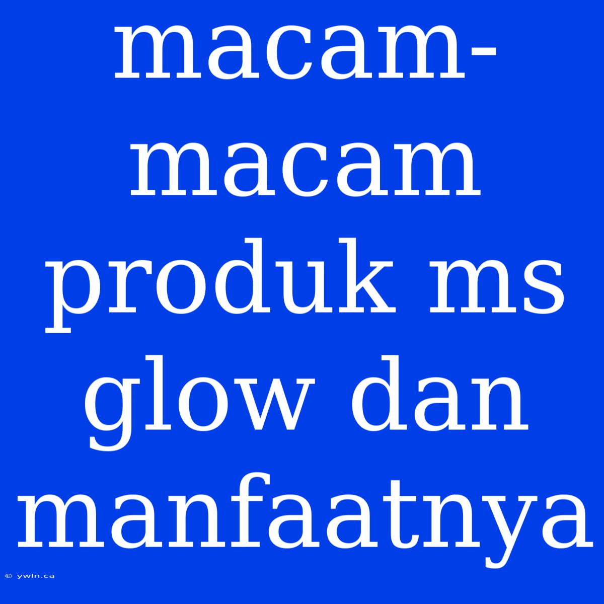 Macam-macam Produk Ms Glow Dan Manfaatnya