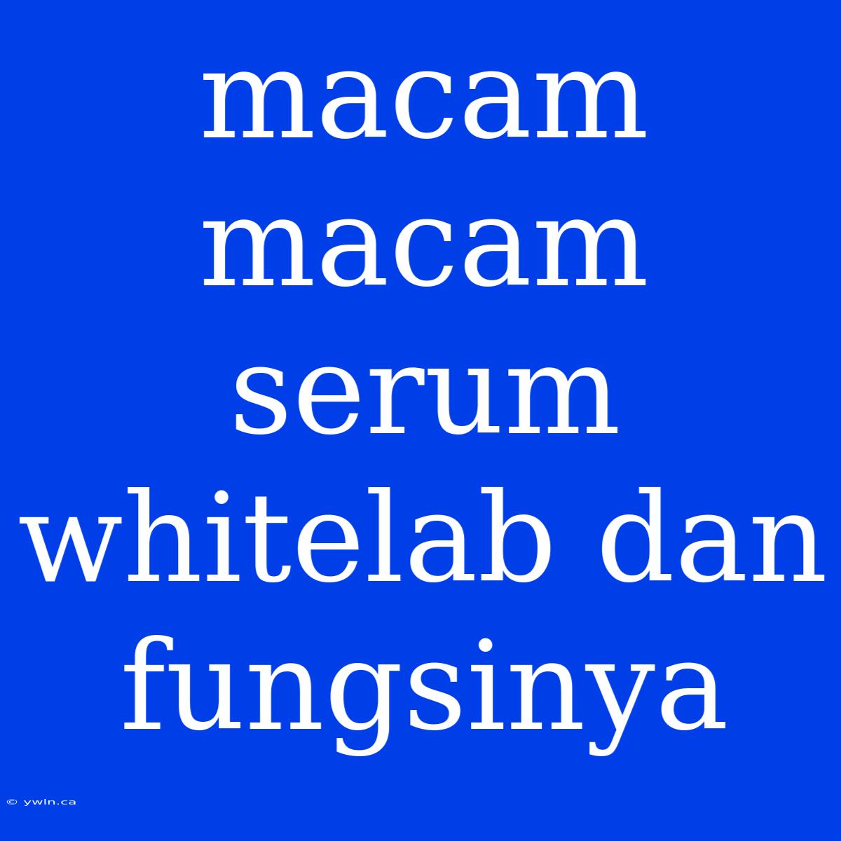 Macam Macam Serum Whitelab Dan Fungsinya