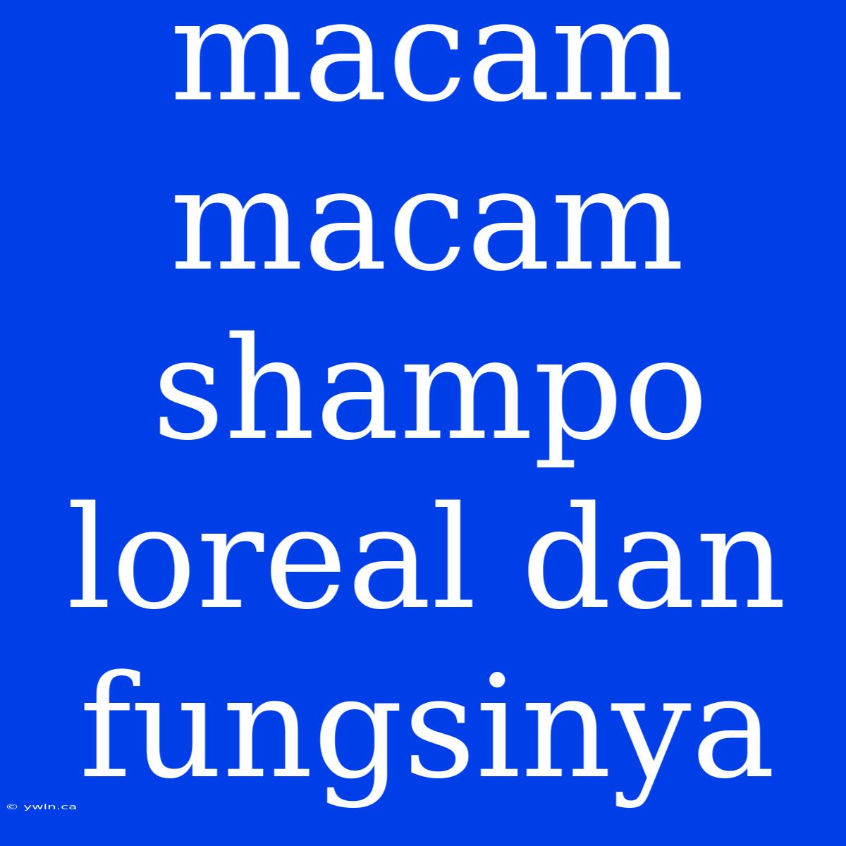 Macam Macam Shampo Loreal Dan Fungsinya