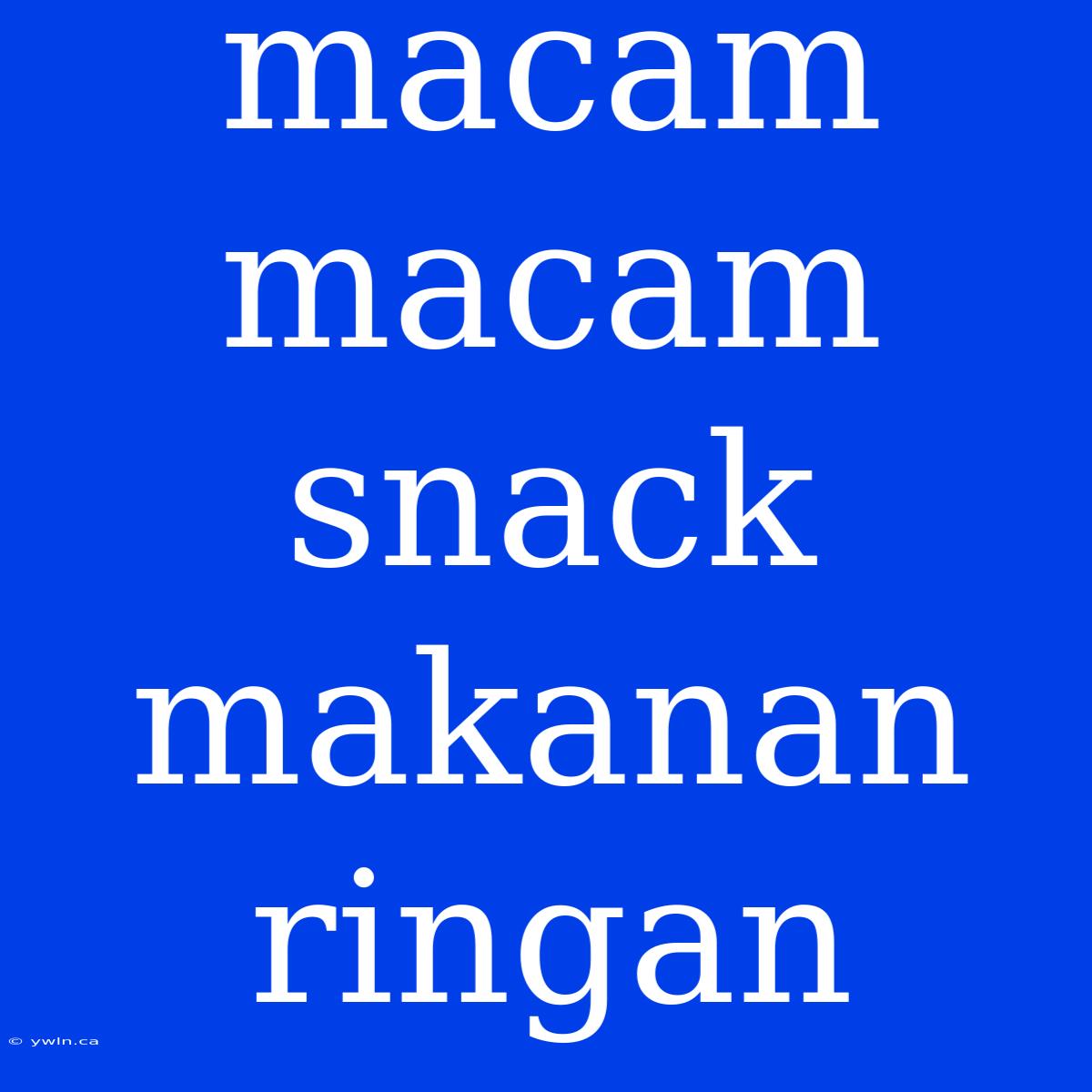 Macam Macam Snack Makanan Ringan