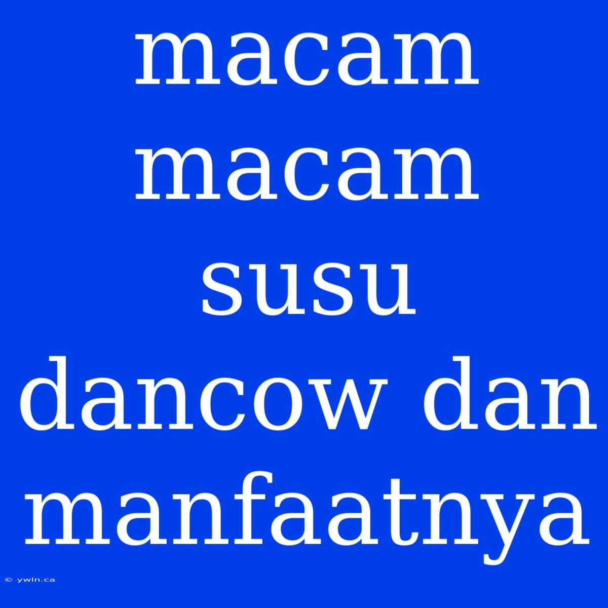 Macam Macam Susu Dancow Dan Manfaatnya