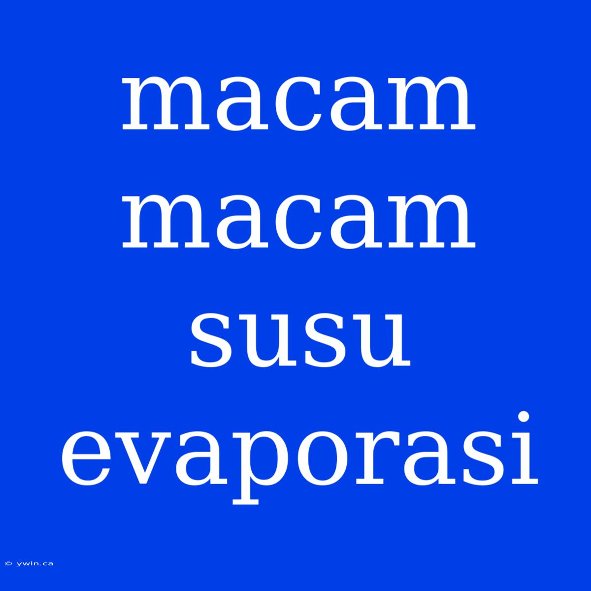 Macam Macam Susu Evaporasi