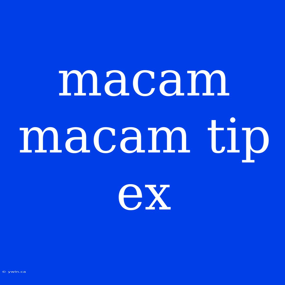 Macam Macam Tip Ex