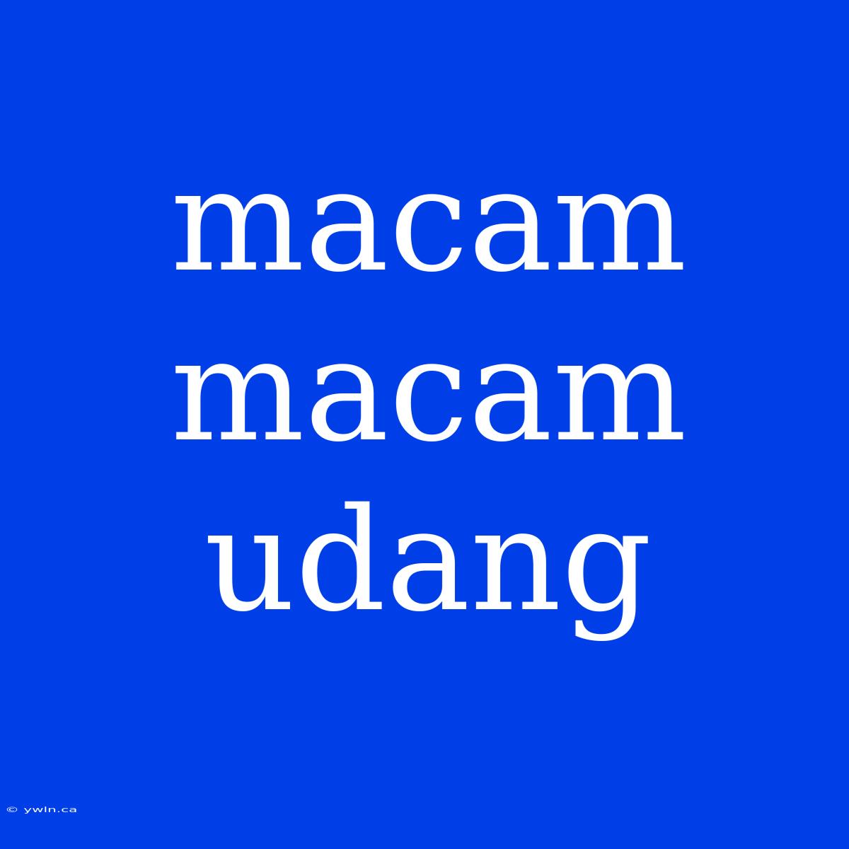 Macam Macam Udang