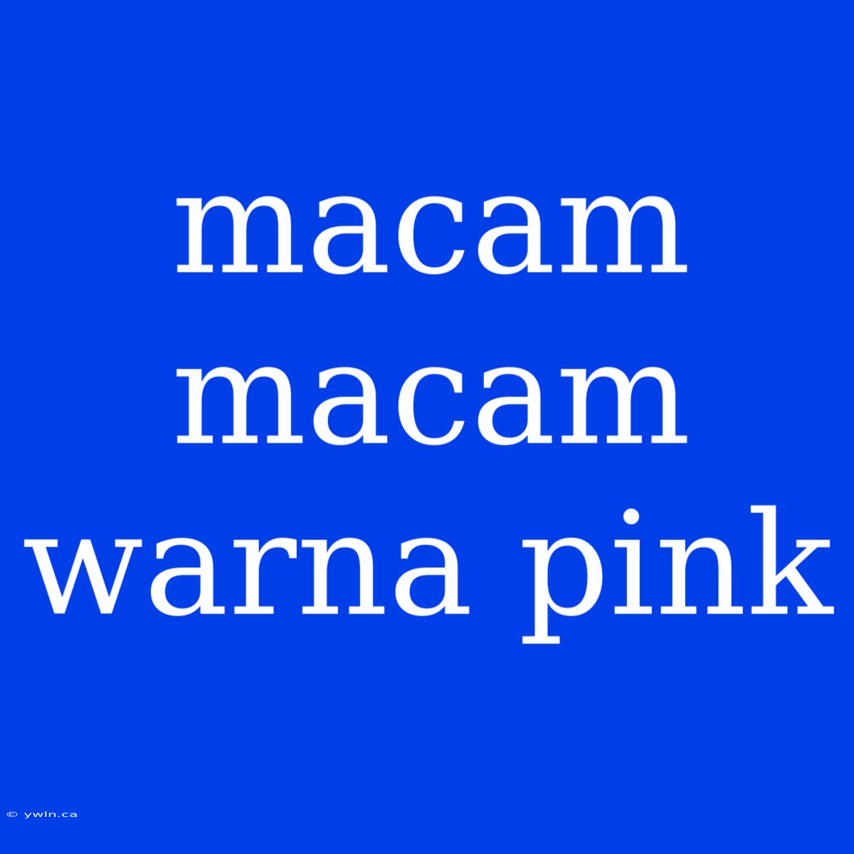 Macam Macam Warna Pink